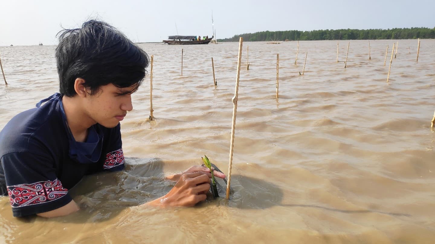 FMIPA UI Lakukan Penanaman Bakau untuk Dukung Konservasi Lutung Jawa