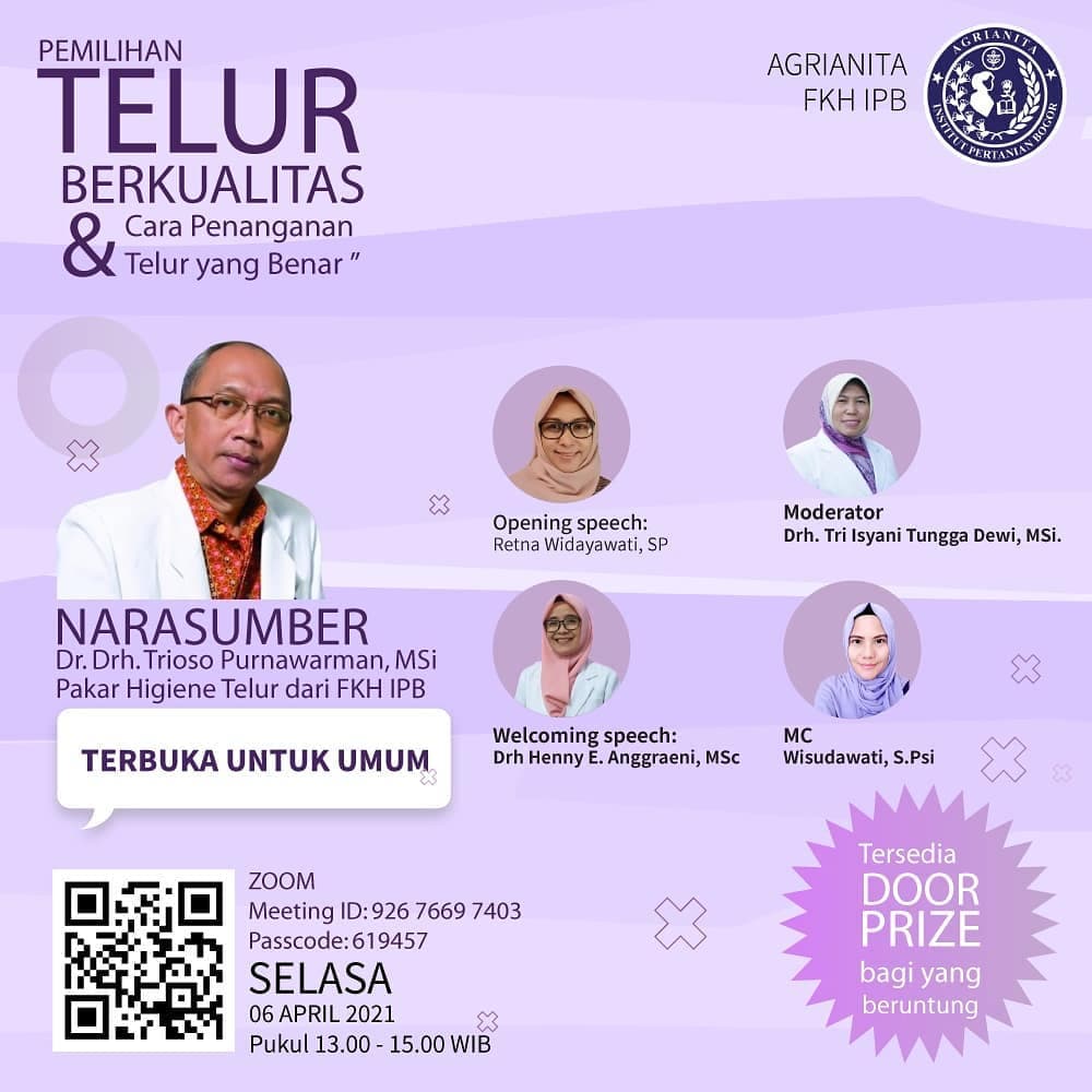 Pakar IPB University Bagikan Tips Memilih Telur Berkualitas