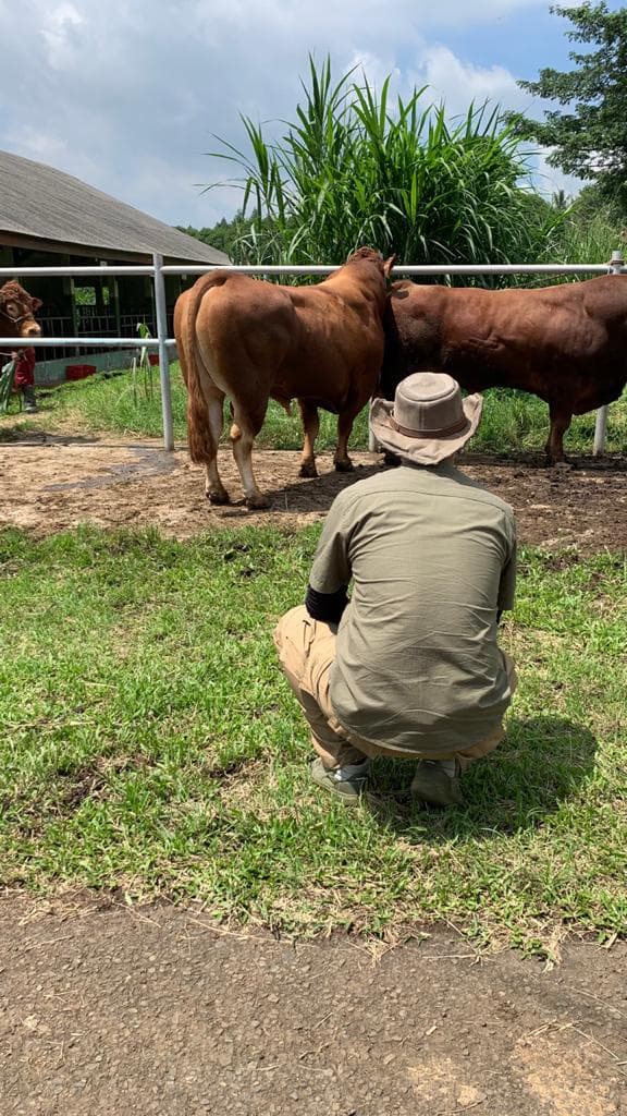 Modal Nekat, Berikut Kunci Jadi Peternak Kelas Pengusaha Ala Alumnus IPB University