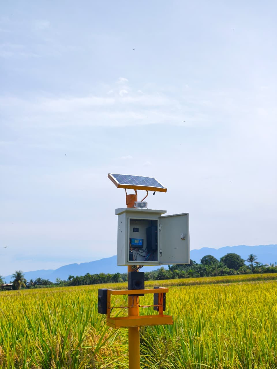 Mahasiswa UTU Ciptakan Alat Pengusir Burung Otomatis Berbasis Sensor, Bantu Petani Aceh Barat