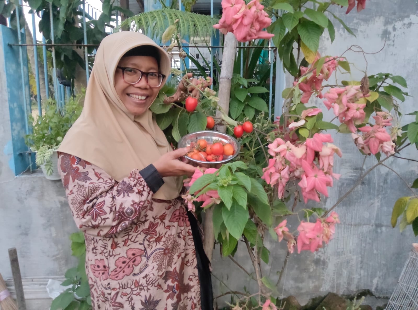 Harga Tomat Anjlok? Jangan Panik, Saatnya Petani dan Pelaku Usaha Berinovasi!