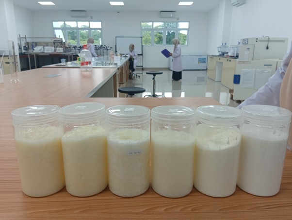 Mahasiswa FIK UTU Kembangkan Bigels Berbasis Minyak Sawit, Tawarkan Alternatif Pengganti Lemak Padat yang Lebih Sehat