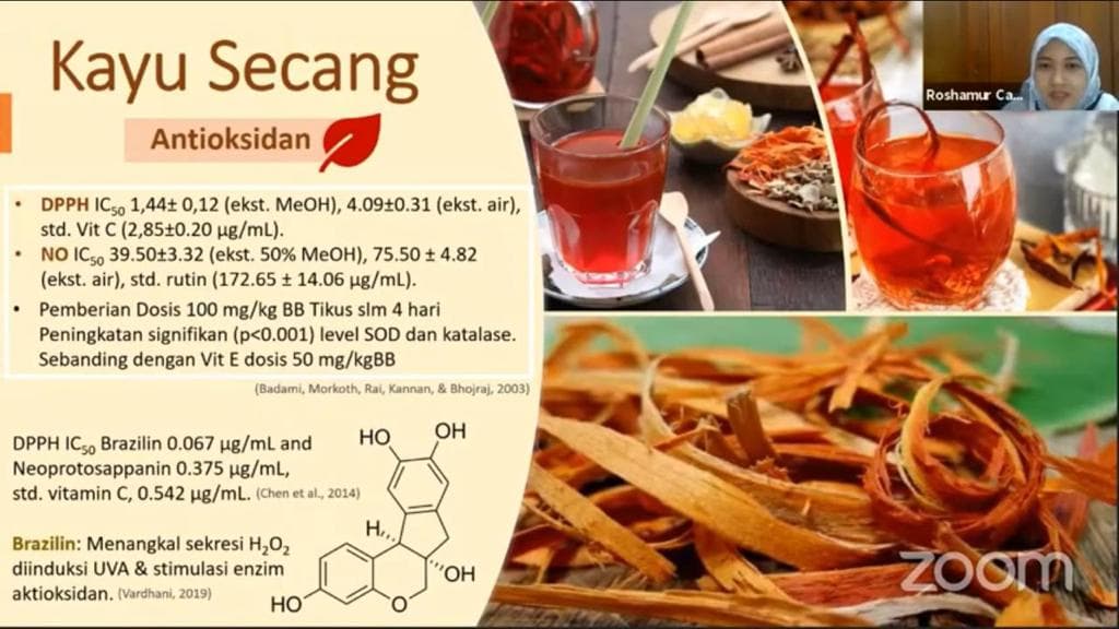 Fakultas Farmasi UI Gelar Seminar Peran Herbal pada Masa Pandemi COVID-19
