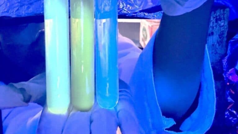 Sensor Cepat dan Murah Karya Mahasiswa FSM UNDIP Deteksi Antibiotik Tersembunyi di Pangan