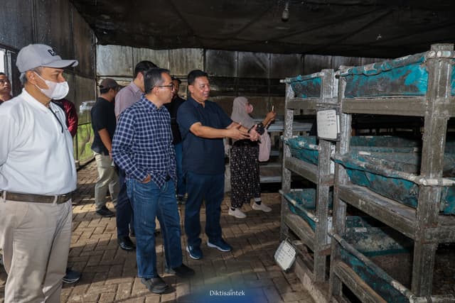 Mendiktisaintek Dorong Pemanfaatan Maggot untuk Atasi Masalah Sampah