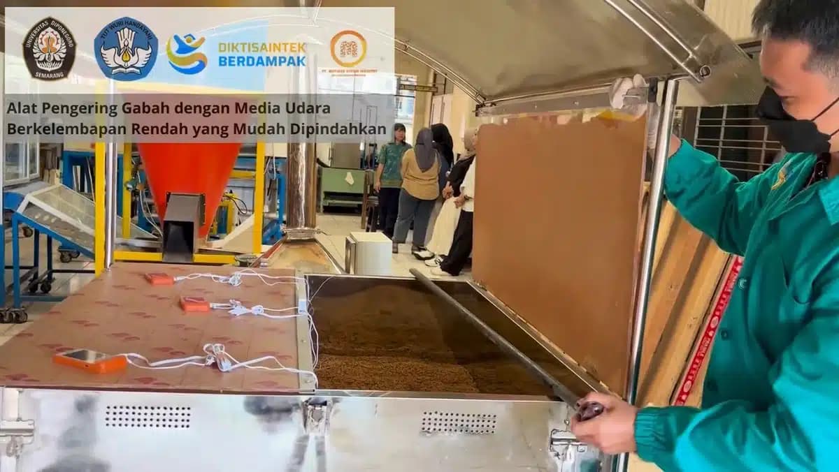 Teknologi Pengering Gabah Hybrid Karya Peneliti UNDIP: Jamin Kualitas Hasil Panen di Segala Kondisi Cuaca
