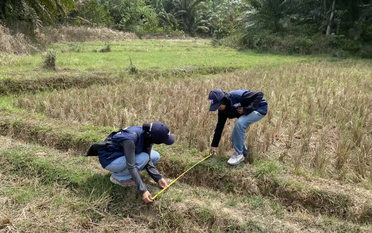 Pulihkan Produktivitas Sawah yang Menyusut, TEP UNDIP Dorong Penguatan Irigasi dan Ketahanan Pertanian Warga