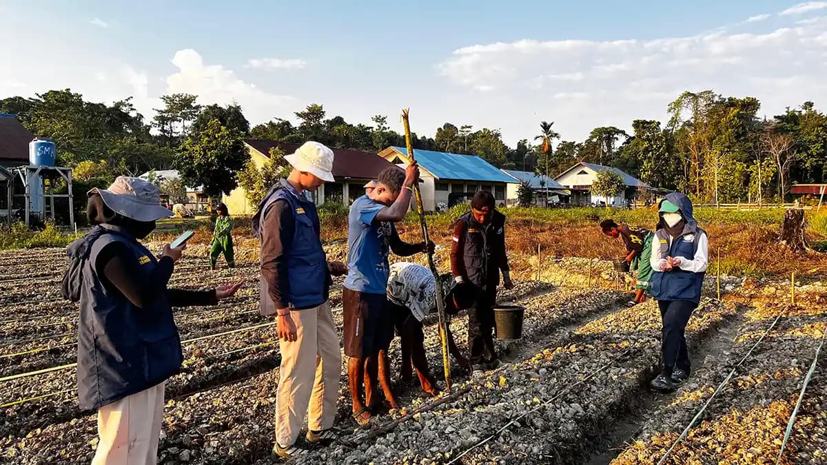 Siapkan SDM Pertanian Mandiri di Papua, TEP UNDIP Bekali Siswa Keerom Keterampilan Agribisnis
