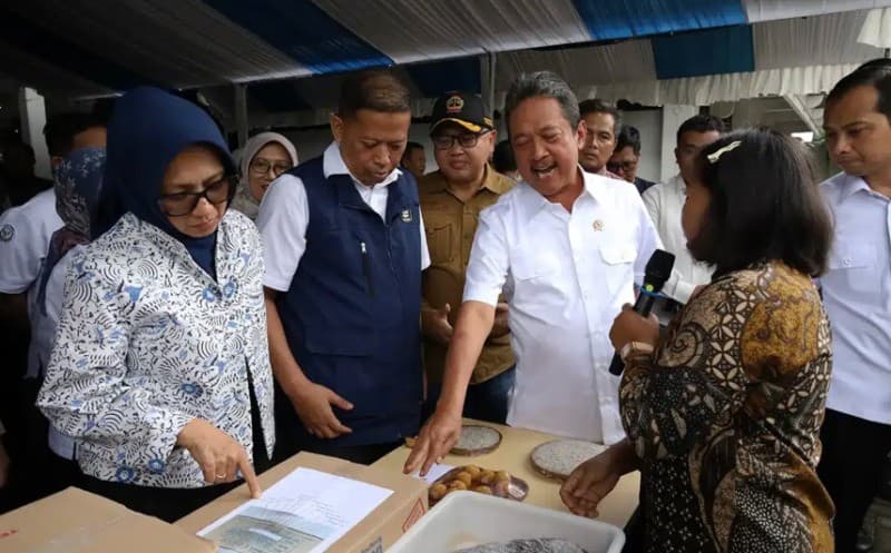 Mitra Binaan UNDIP di Jepara Tembus Ekspor Teri ke Jepang dan Singapura, Tingkatkan Daya Saing Nelayan Lokal