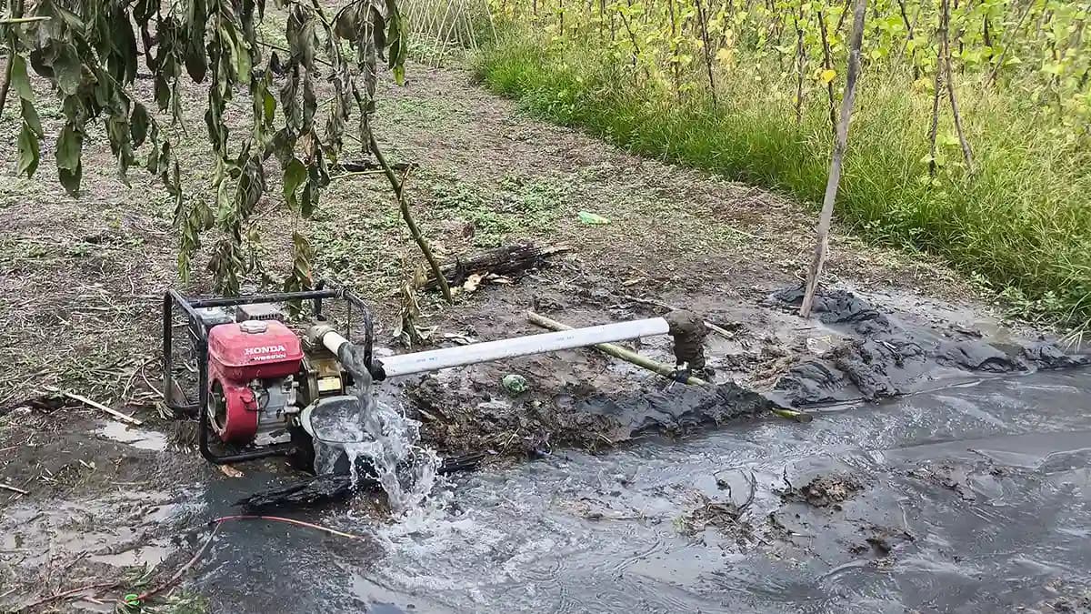 Bantu Petani Senggi Hadapi Dampak El Nino, Tim Ekspedisi Patriot UNDIP Bangun Sumur Bor untuk 10 Hektare Sawah